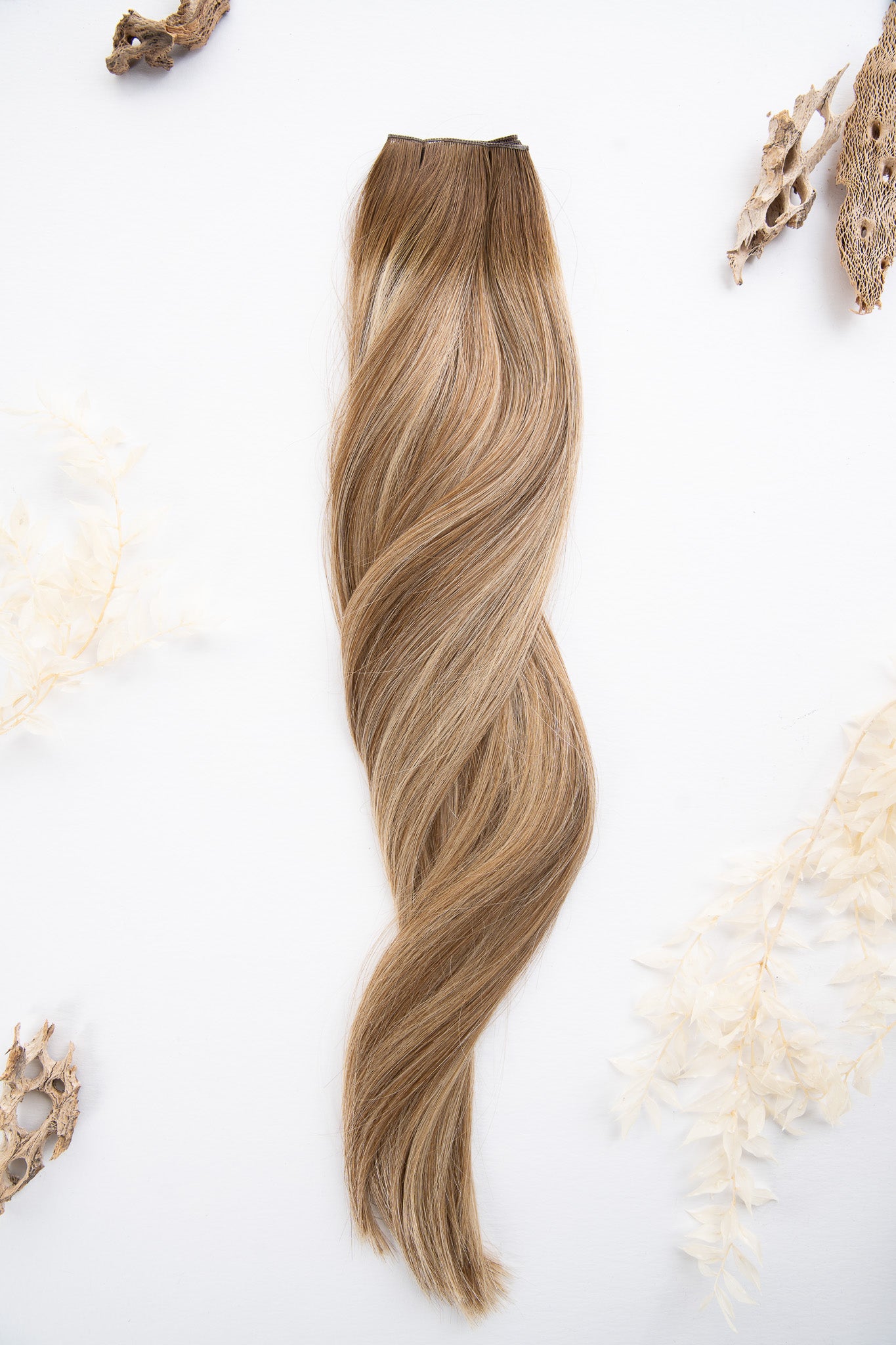 Arbor – 9 Neutral + 7 Warm (7 Root)