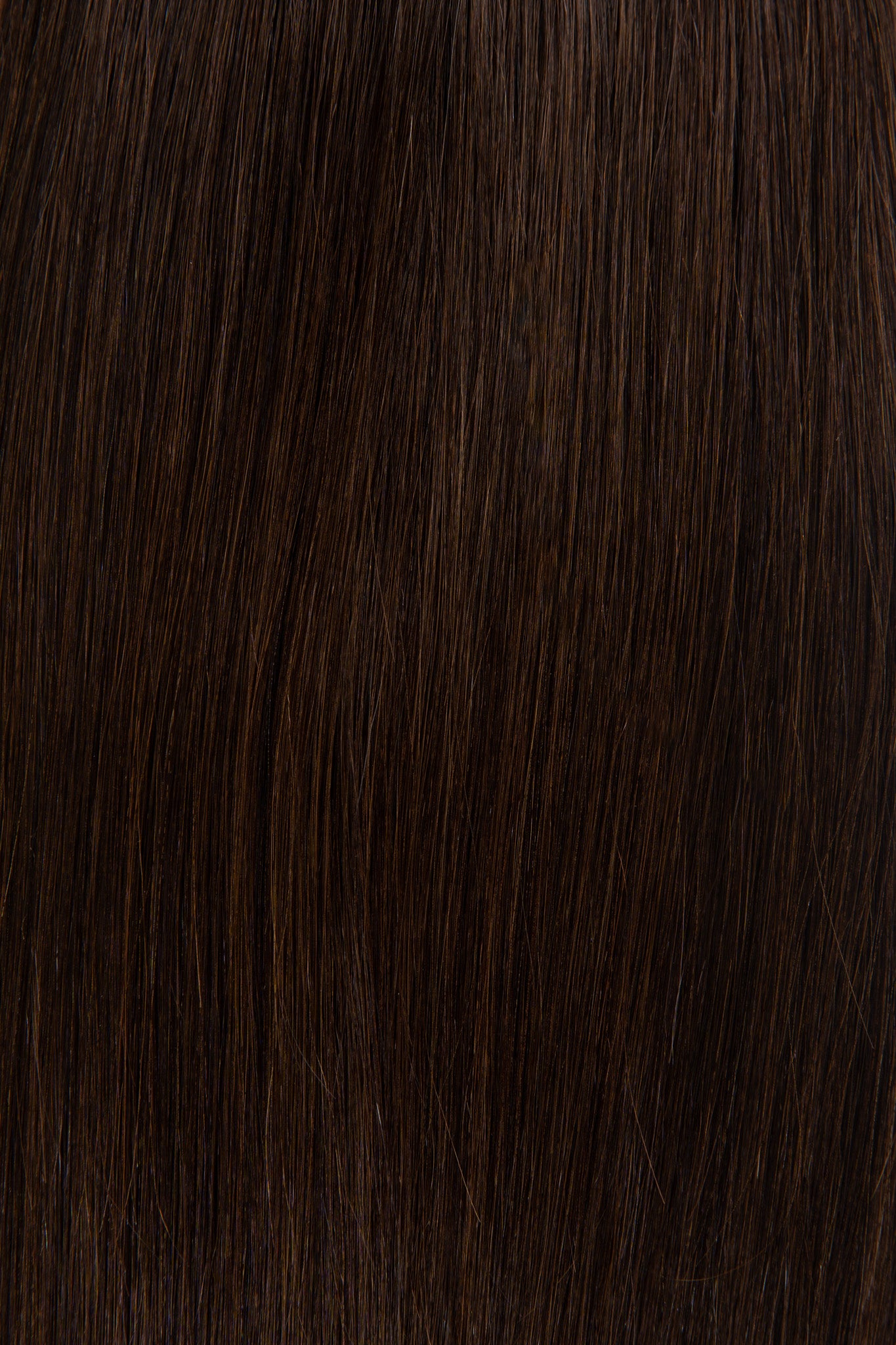 Sable – 4 Neutral