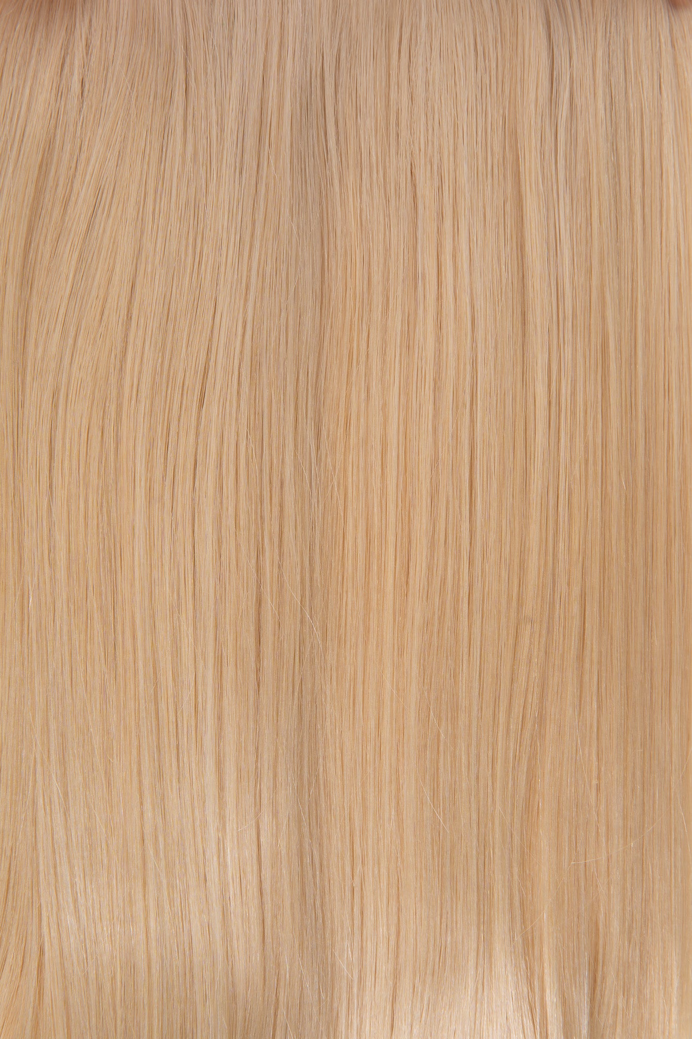 Ivory – 10 Warm